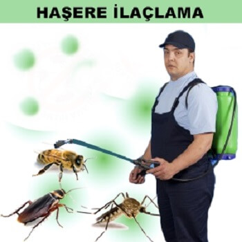 Çan Böcek İlaçlama